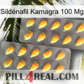 Sildénafil Kamagra 100 Mg cialis2